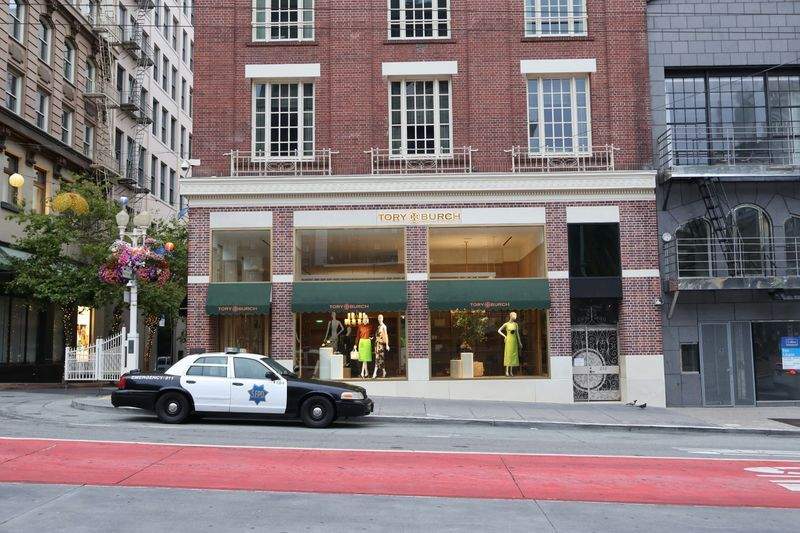 Eucalyptus Essentials - Image 11