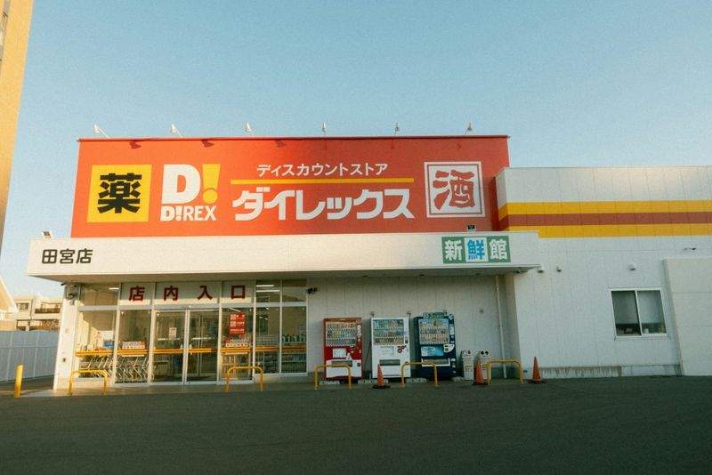 Eucalyptus Essentials - Image 5